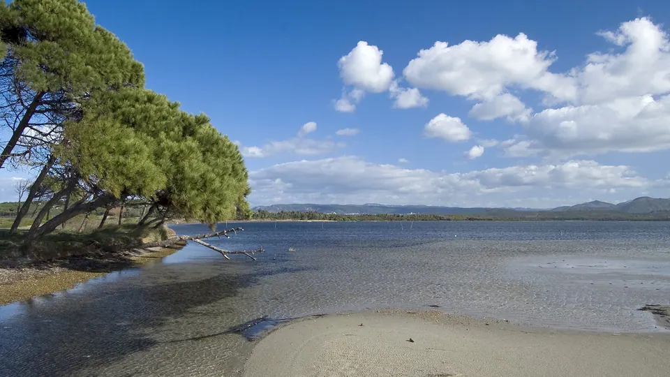 Punta Trettu