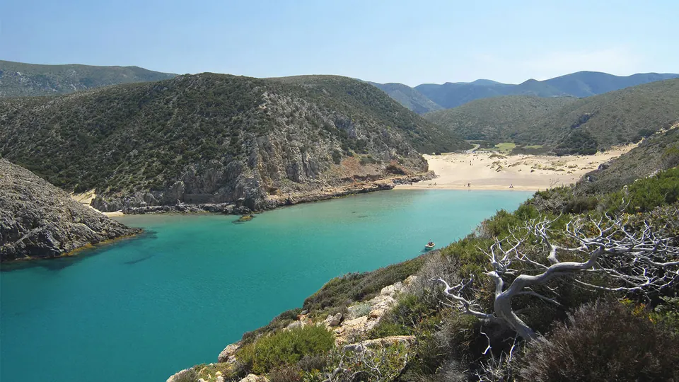 Cala Domestica