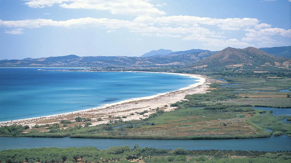 Orvili