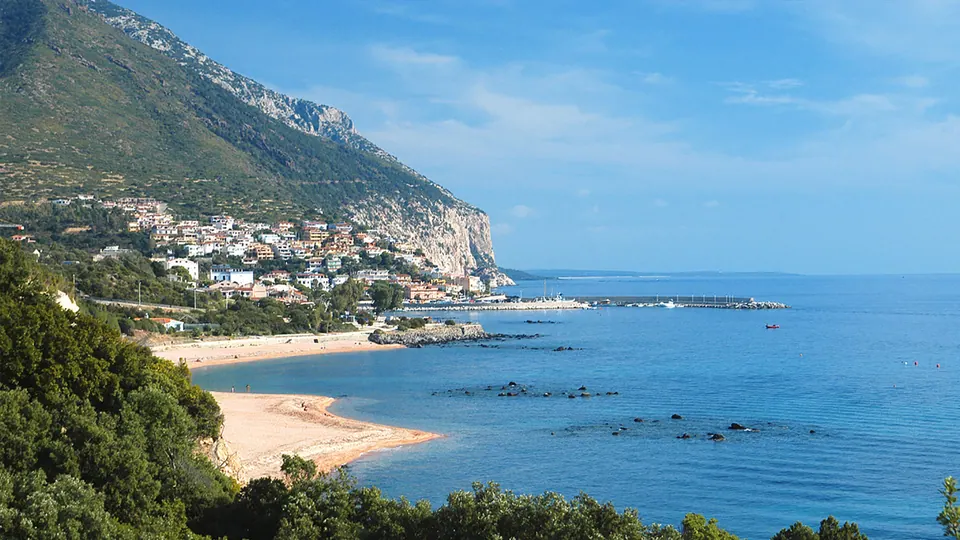 Palmasera