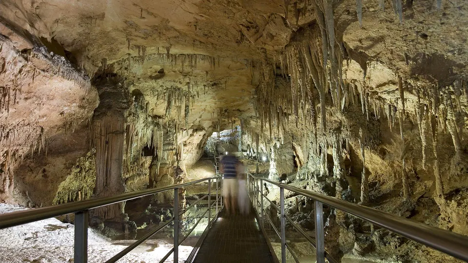 Grotta del Fico