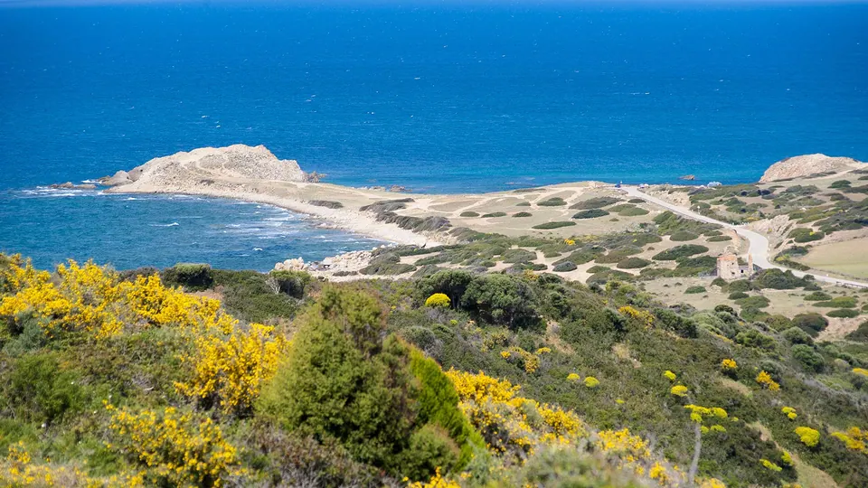 Capo Pecora