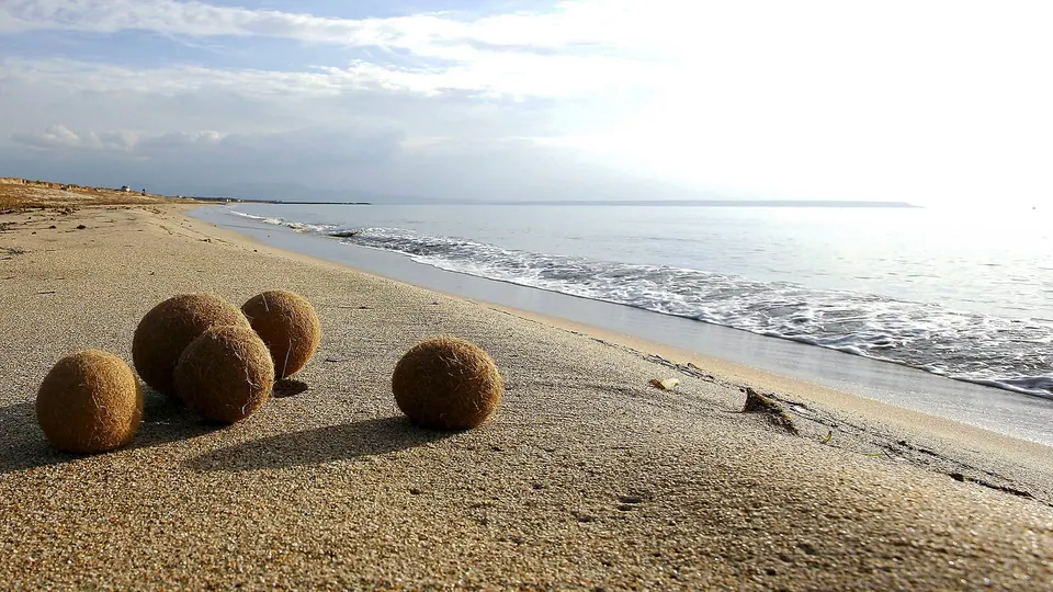 Santa Giusta – Spiaggia Cirras