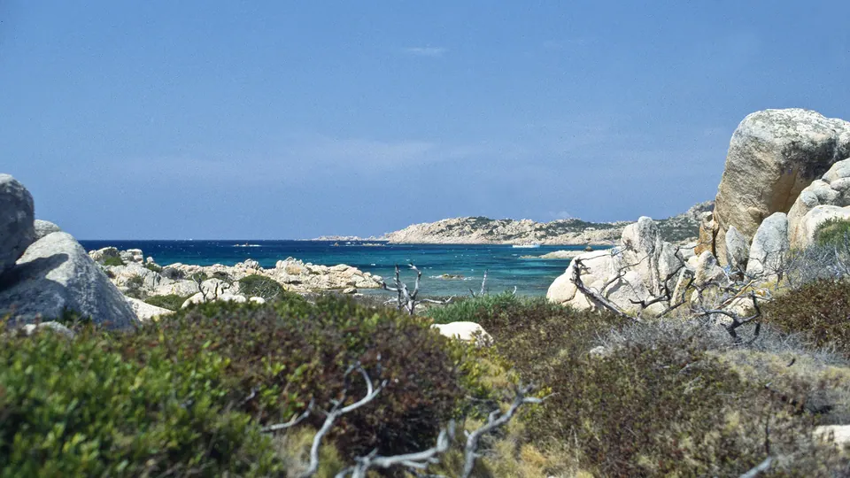 Isola di Santa Maria – Cala Drappo – Spiaggia di Tamerici