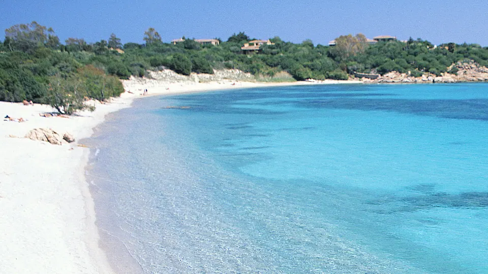 La Celvia