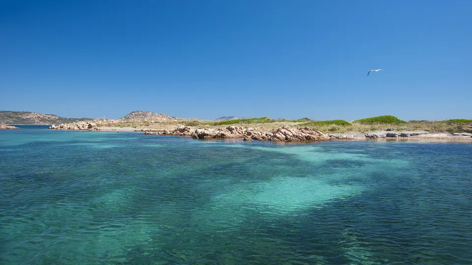 Isola dei Cavalli